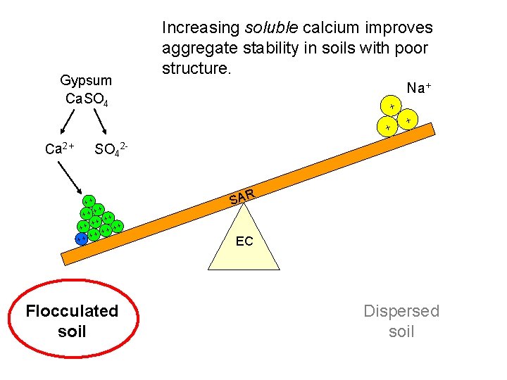 Gypsum Ca. SO 4 Increasing soluble calcium improves aggregate stability in soils with poor