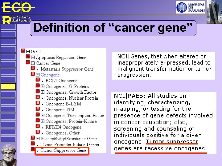 ECO R Definition of “cancer gene” European Centre for Ontological Research 