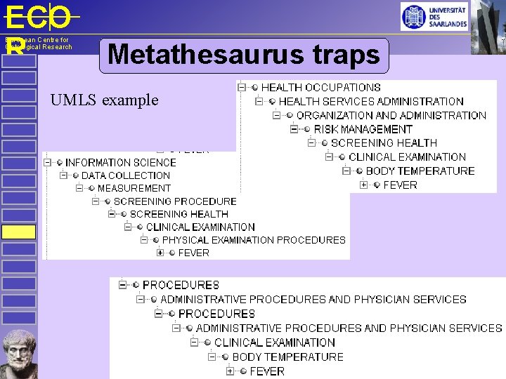 ECO R European Centre for Ontological Research Metathesaurus traps UMLS example 