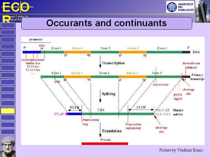 ECO R European Centre for Ontological Research Occurants and continuants Picture by Vladimir Brajic