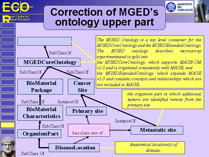 ECO R Correction of MGED’s ontology upper part European Centre for Ontological Research MGEDOntology