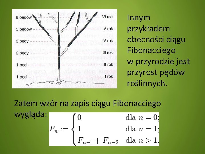 Innym przykładem obecności ciągu Fibonacciego w przyrodzie jest przyrost pędów roślinnych. Zatem wzór na