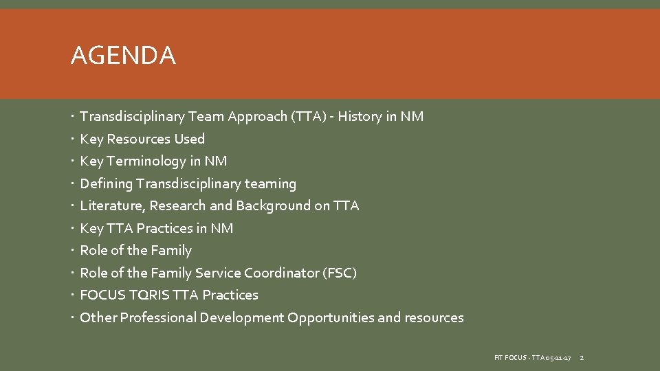 AGENDA Transdisciplinary Team Approach (TTA) - History in NM Key Resources Used Key Terminology AGENDA Transdisciplinary Team Approach (TTA) - History in NM Key Resources Used Key Terminology