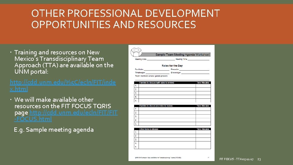 OTHER PROFESSIONAL DEVELOPMENT OPPORTUNITIES AND RESOURCES Training and resources on New Mexico’s Transdisciplinary Team OTHER PROFESSIONAL DEVELOPMENT OPPORTUNITIES AND RESOURCES Training and resources on New Mexico’s Transdisciplinary Team