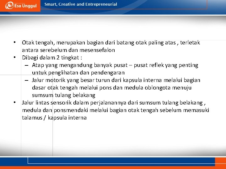  • Otak tengah, merupakan bagian dari batang otak paling atas , terletak antara