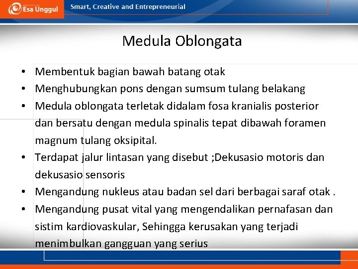 Medula Oblongata • Membentuk bagian bawah batang otak • Menghubungkan pons dengan sumsum tulang