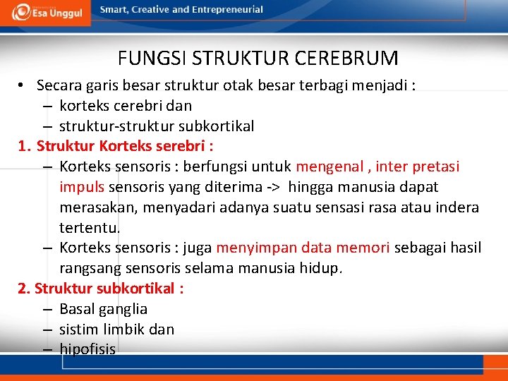 FUNGSI STRUKTUR CEREBRUM • Secara garis besar struktur otak besar terbagi menjadi : –