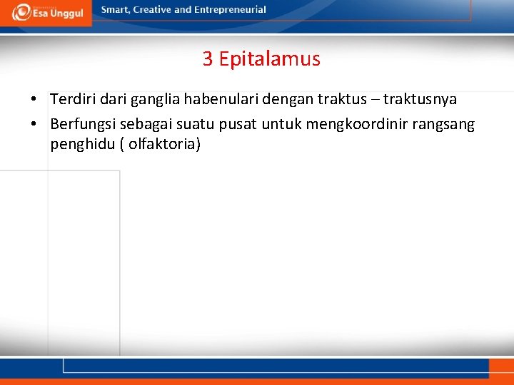 3 Epitalamus • Terdiri dari ganglia habenulari dengan traktus – traktusnya • Berfungsi sebagai