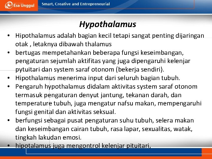 Hypothalamus • Hipothalamus adalah bagian kecil tetapi sangat penting dijaringan otak , letaknya dibawah