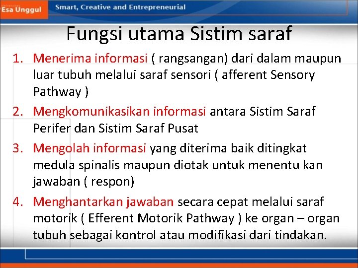 Fungsi utama Sistim saraf 1. Menerima informasi ( rangsangan) dari dalam maupun luar tubuh