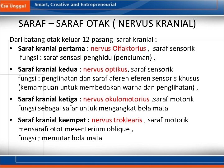 SARAF – SARAF OTAK ( NERVUS KRANIAL) Dari batang otak keluar 12 pasang saraf