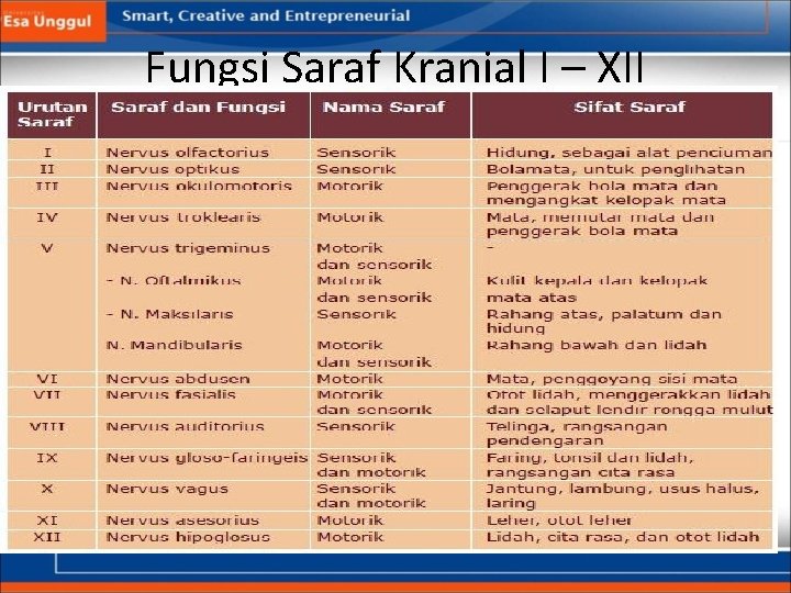 Fungsi Saraf Kranial I – XII 