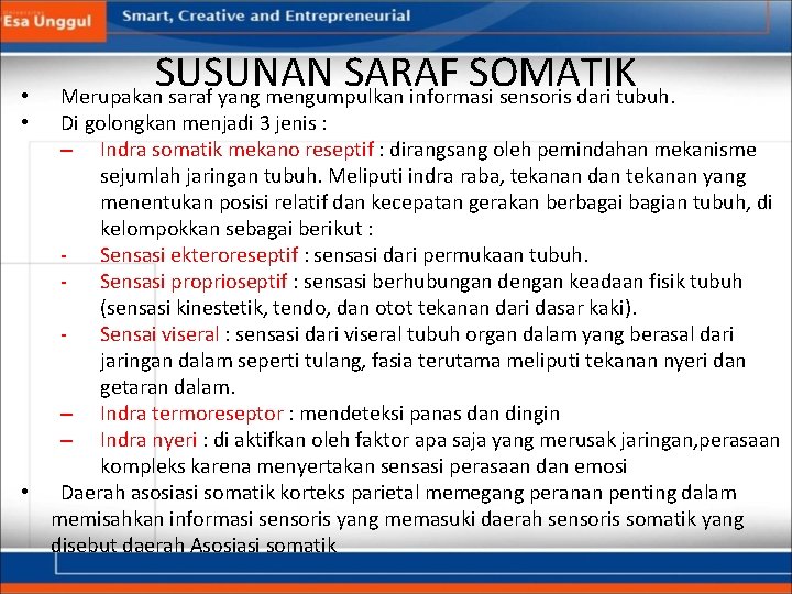  • • SUSUNAN SARAF SOMATIK Merupakan saraf yang mengumpulkan informasi sensoris dari tubuh.