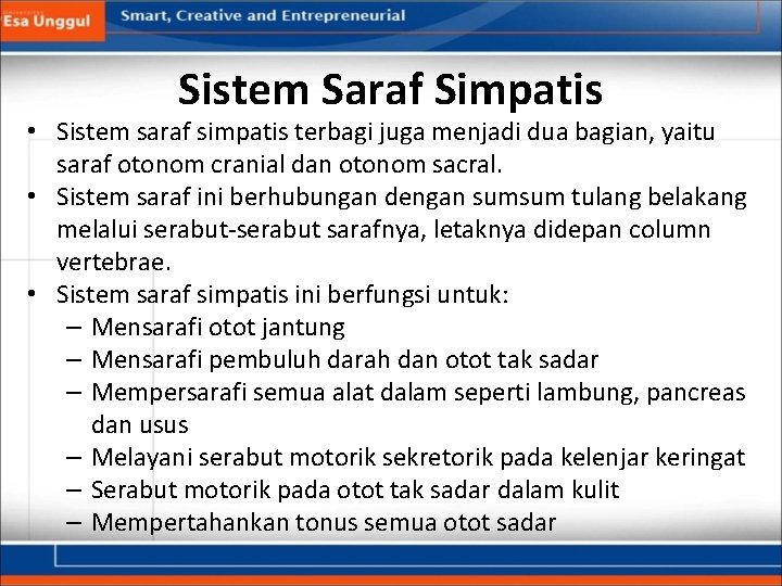 Sistem Saraf Simpatis • Sistem saraf simpatis terbagi juga menjadi dua bagian, yaitu saraf