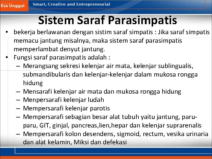 Sistem Saraf Parasimpatis • bekerja berlawanan dengan sistim saraf simpatis : Jika saraf simpatis