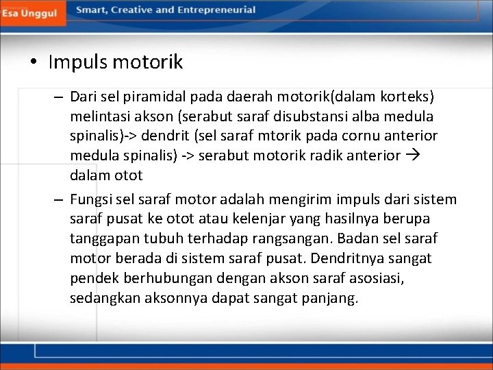  • Impuls motorik – Dari sel piramidal pada daerah motorik(dalam korteks) melintasi akson