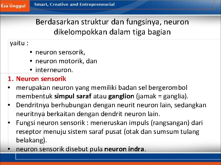  yaitu : 1. • • Berdasarkan struktur dan fungsinya, neuron dikelompokkan dalam tiga