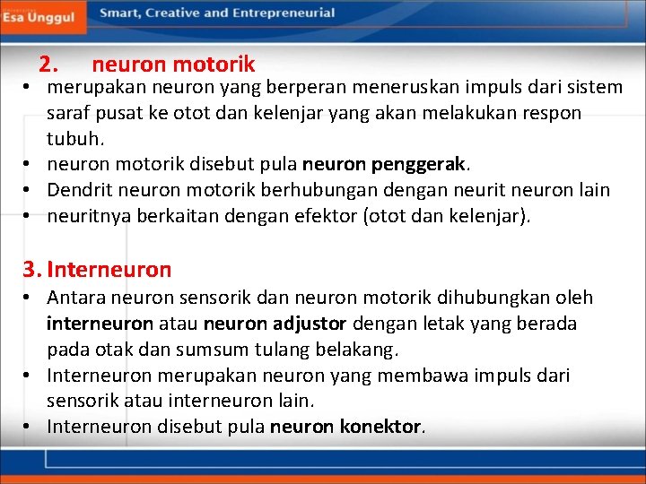 2. neuron motorik • merupakan neuron yang berperan meneruskan impuls dari sistem saraf pusat
