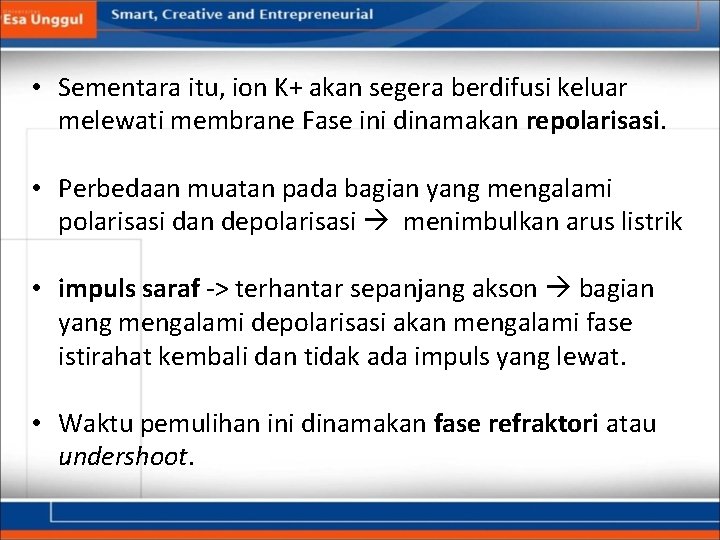  • Sementara itu, ion K+ akan segera berdifusi keluar melewati membrane Fase ini