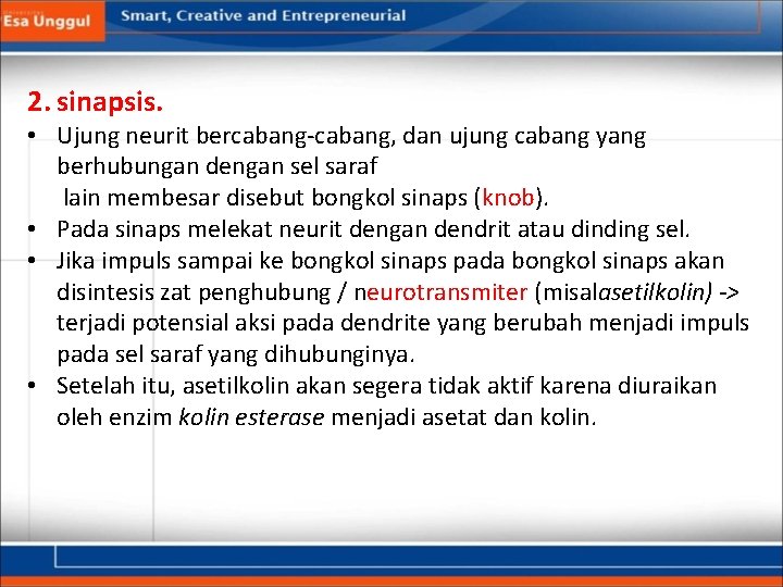 2. sinapsis. • Ujung neurit bercabang-cabang, dan ujung cabang yang berhubungan dengan sel saraf