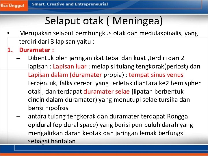 Selaput otak ( Meningea) Merupakan selaput pembungkus otak dan medulaspinalis, yang terdiri dari 3