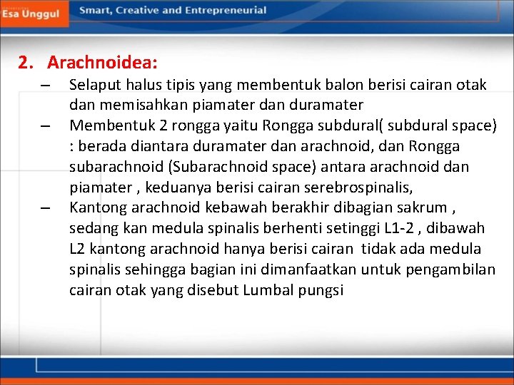 2. Arachnoidea: – – – Selaput halus tipis yang membentuk balon berisi cairan otak