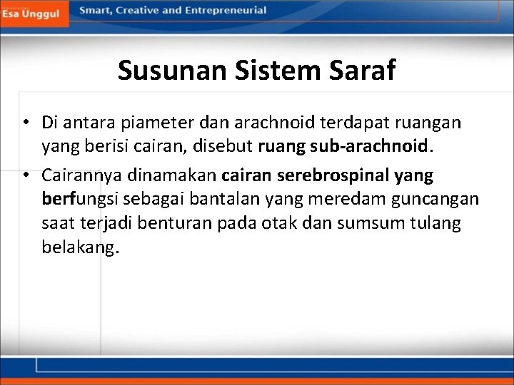 Susunan Sistem Saraf • Di antara piameter dan arachnoid terdapat ruangan yang berisi cairan,