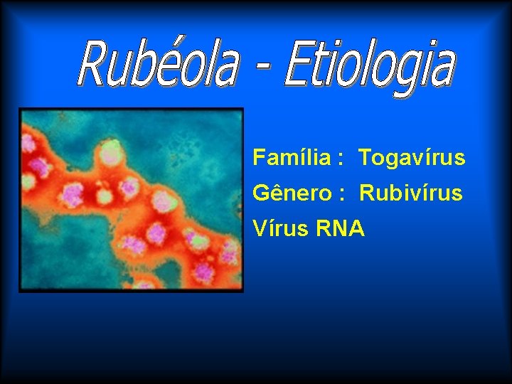 Família : Togavírus Gênero : Rubivírus Vírus RNA 