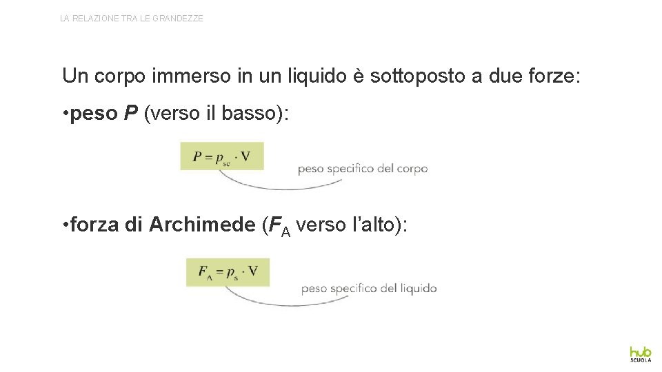 LA RELAZIONE TRA LE GRANDEZZE Un corpo immerso in un liquido è sottoposto a LA RELAZIONE TRA LE GRANDEZZE Un corpo immerso in un liquido è sottoposto a