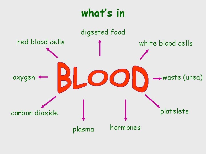 what’s in digested food red blood cells white blood cells oxygen waste (urea) platelets
