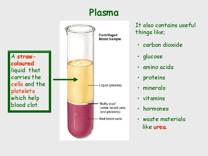 Plasma It also contains useful things like; • carbon dioxide A strawcoloured liquid that