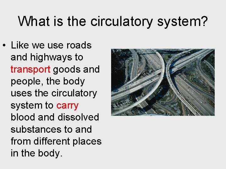 What is the circulatory system? • Like we use roads and highways to transport