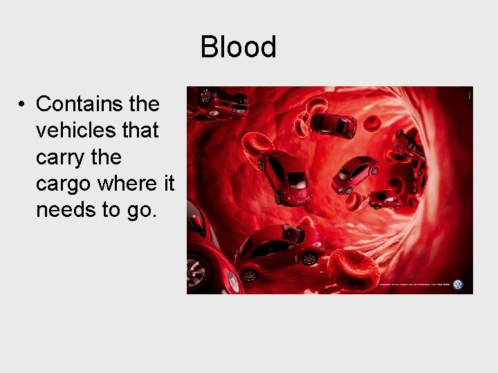 Blood • Contains the vehicles that carry the cargo where it needs to go.