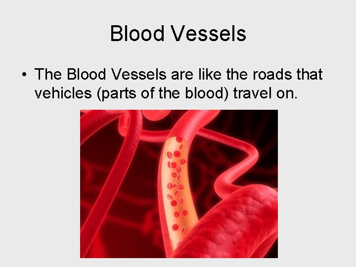 Blood Vessels • The Blood Vessels are like the roads that vehicles (parts of