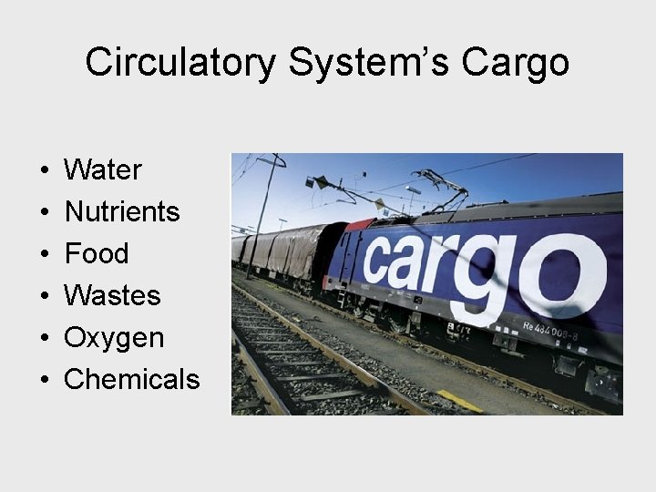 Circulatory System’s Cargo • • • Water Nutrients Food Wastes Oxygen Chemicals 