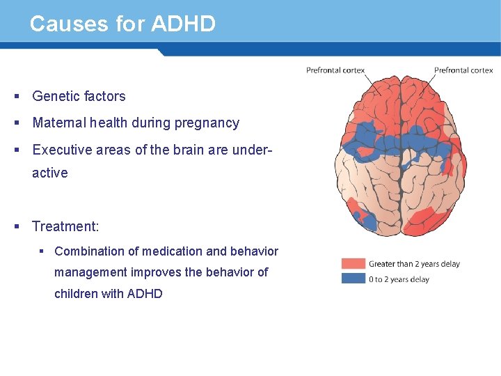 Causes for ADHD § Genetic factors § Maternal health during pregnancy § Executive areas