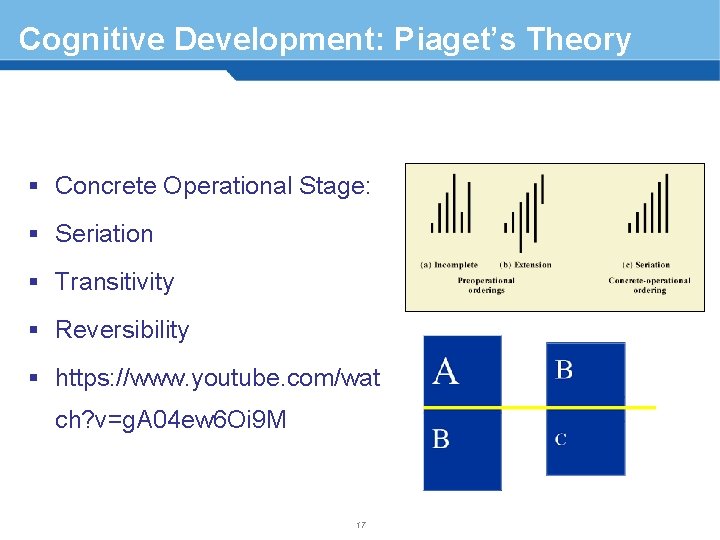 Cognitive Development: Piaget’s Theory § Concrete Operational Stage: § Seriation § Transitivity § Reversibility