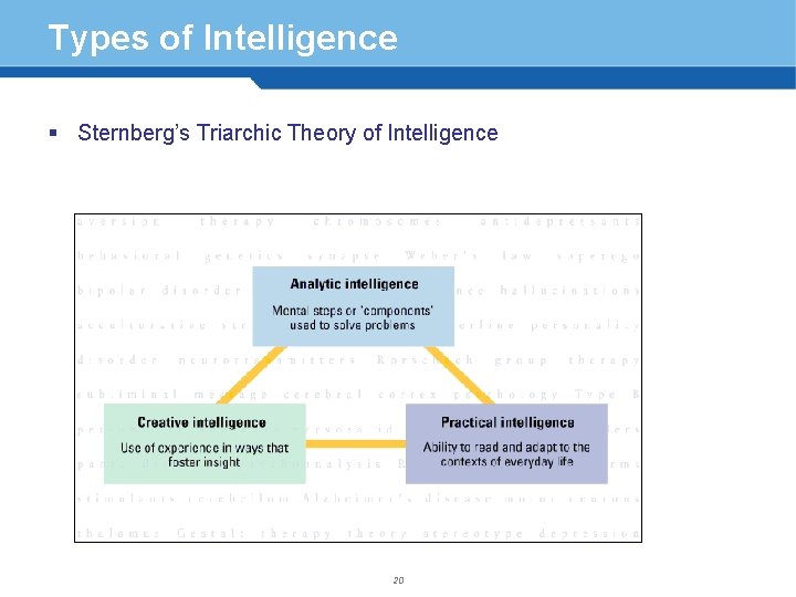 Types of Intelligence § Sternberg’s Triarchic Theory of Intelligence 20 