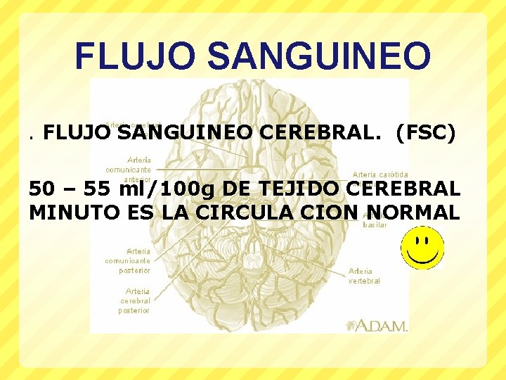 FLUJO SANGUINEO CEREBRAL. (FSC) 50 – 55 ml/100 g DE TEJIDO CEREBRAL MINUTO ES
