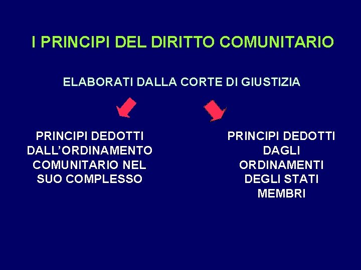 I PRINCIPI DEL DIRITTO COMUNITARIO ELABORATI DALLA CORTE DI GIUSTIZIA PRINCIPI DEDOTTI DALL’ORDINAMENTO COMUNITARIO
