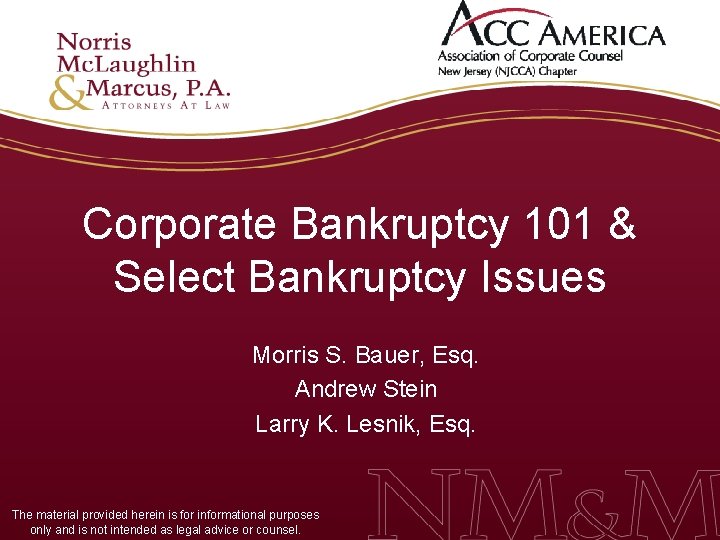 Corporate Bankruptcy 101 & Select Bankruptcy Issues Morris S. Bauer, Esq. Andrew Stein Larry