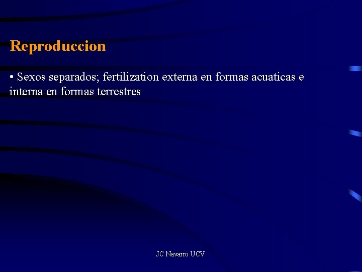 Reproduccion • Sexos separados; fertilization externa en formas acuaticas e interna en formas terrestres