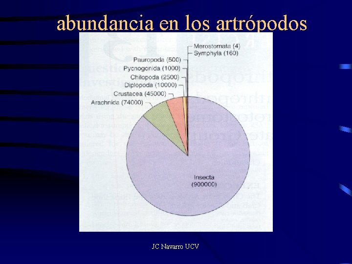 abundancia en los artrópodos JC Navarro UCV 