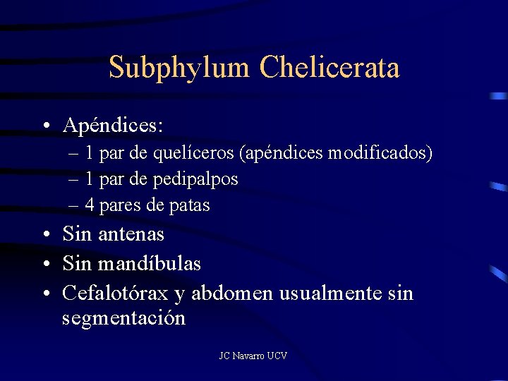 Subphylum Chelicerata • Apéndices: – 1 par de quelíceros (apéndices modificados) – 1 par