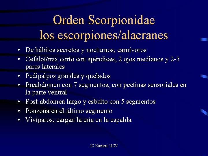 Orden Scorpionidae los escorpiones/alacranes • De hábitos secretos y nocturnos; carnívoros • Cefalotórax corto