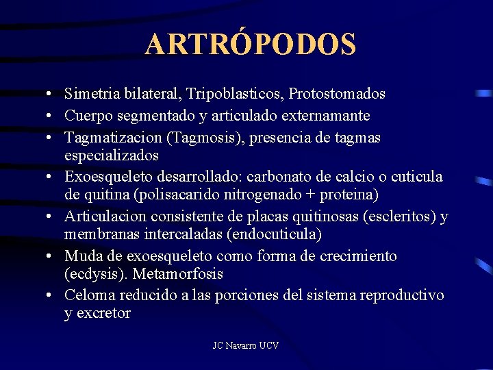 ARTRÓPODOS • Simetria bilateral, Tripoblasticos, Protostomados • Cuerpo segmentado y articulado externamante • Tagmatizacion