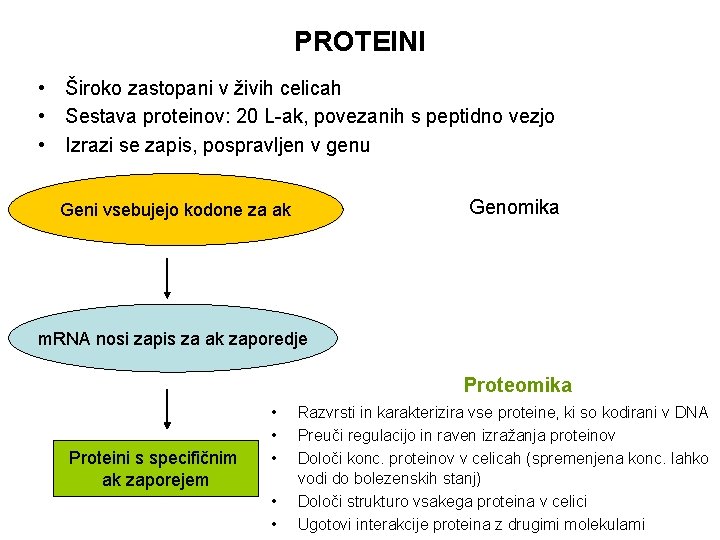 PROTEINI • Široko zastopani v živih celicah • Sestava proteinov: 20 L-ak, povezanih s