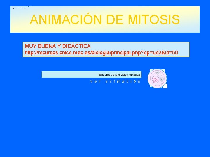 ANIMACIÓN DE MITOSIS MUY BUENA Y DIDÁCTICA http: //recursos. cnice. mec. es/biologia/principal. php? op=ud