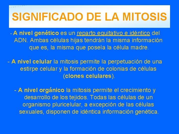 SIGNIFICADO DE LA MITOSIS - A nivel genético es un reparto equitativo e idéntico