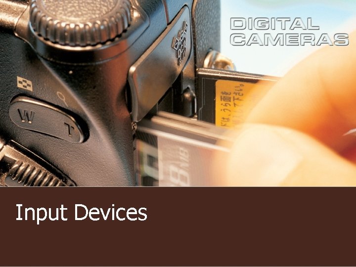 Input Devices Input Devices